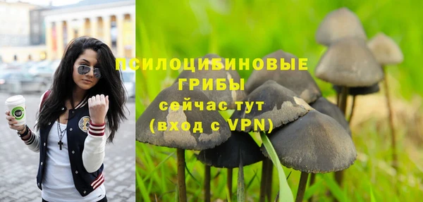 трава Абдулино
