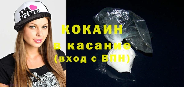 индика Абаза