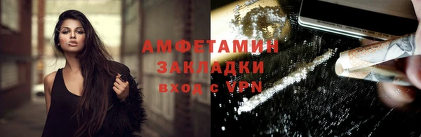 индика Абаза