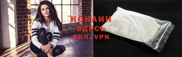 индика Абаза