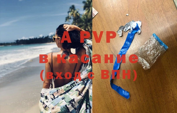индика Абаза