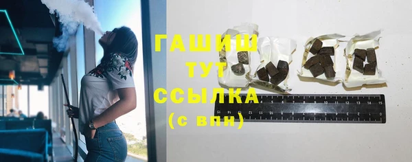 индика Абаза