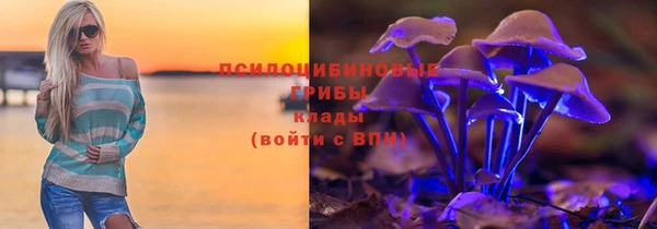 трава Абдулино
