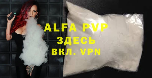 индика Абаза