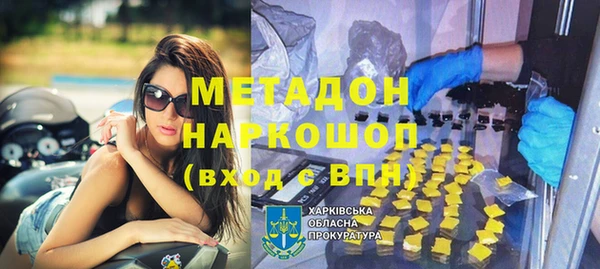 индика Абаза