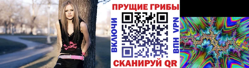 OMG маркетплейс  Сорск  Псилоцибиновые грибы прущие грибы 